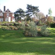 Visit a garden - Arthur Road, Wimbledon