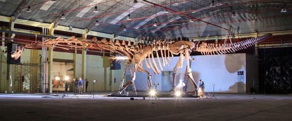 Titanosaur at the Natural History Museum