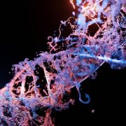 DNA family secrets: genetics, genealogy and forensics (Discourse)
