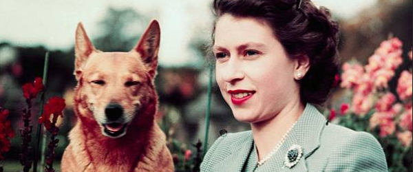 The Queen and her Corgis