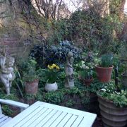 Visit a Garden: 4 Canonbury Place