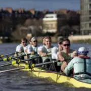 Oxford v Cambridge boat races