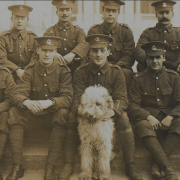 Dogs of the First World War