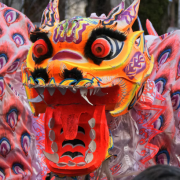 Lunar New Year lion dance