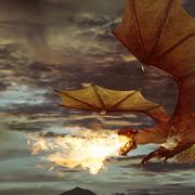 Dragons: A History