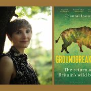 Groundbreakers: The return of Britain’s Wild Boar by Chantal Lyons.
