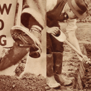 Lindley Live - Digging for Victory: How to Feed the Nation