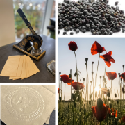 Special D Day visit at The Poppy Factory