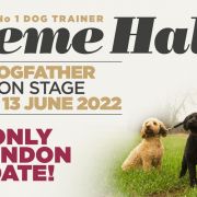 Graeme Hall – The Dogfather Live On Stage
